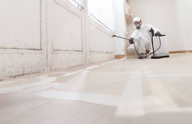 24/7 Emergency Black Mold Remediation experts in Frostburg, MD